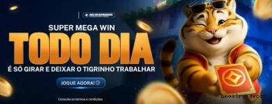 Broilpg - O melhor cassino online para brasileiros está pronto para você!
